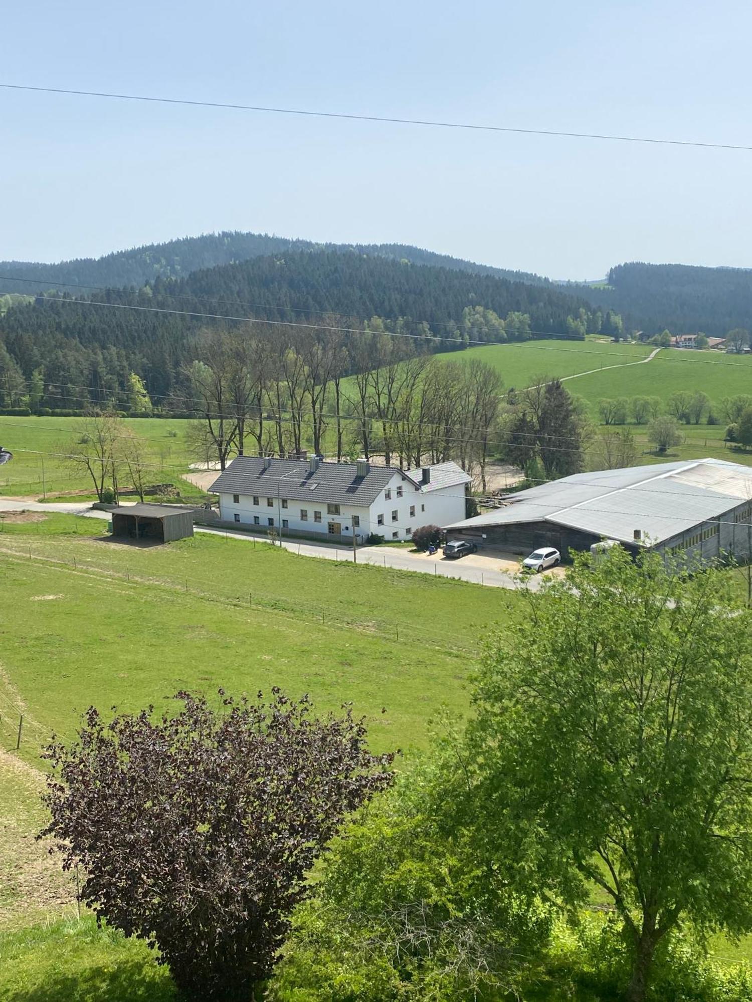 Apartamento Lussen Regen Exterior foto